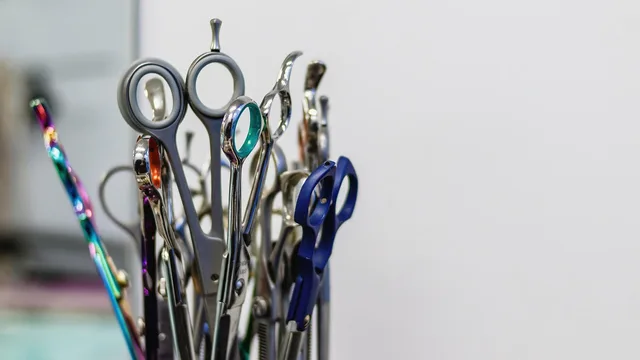 grooming, pet, salon, cute, hair, purebred, hand, young, hairstyle, fur, animal, domestic, cut, professional, beauty, groomer, nature, haircut, white, care, adorable, comb, mammal, tool, funny, fluffy. Local search checklist for grooming salons: the monthly audit
