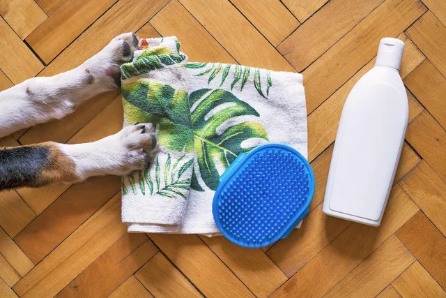 dog, dog shampoo, dog wash, dog flea shampoo, puppy shampoo, puppy wash, dog bath, puppy bath, dog grooming, pet shampoo, dog tick shampoo, dog brush, dog shampoo, dog shampoo, dog shampoo, dog shampoo, dog shampoo, dog wash, dog wash, dog grooming, dog grooming, pet shampoo, dog brush, dog brush. Pet grooming services menu: how to word each line